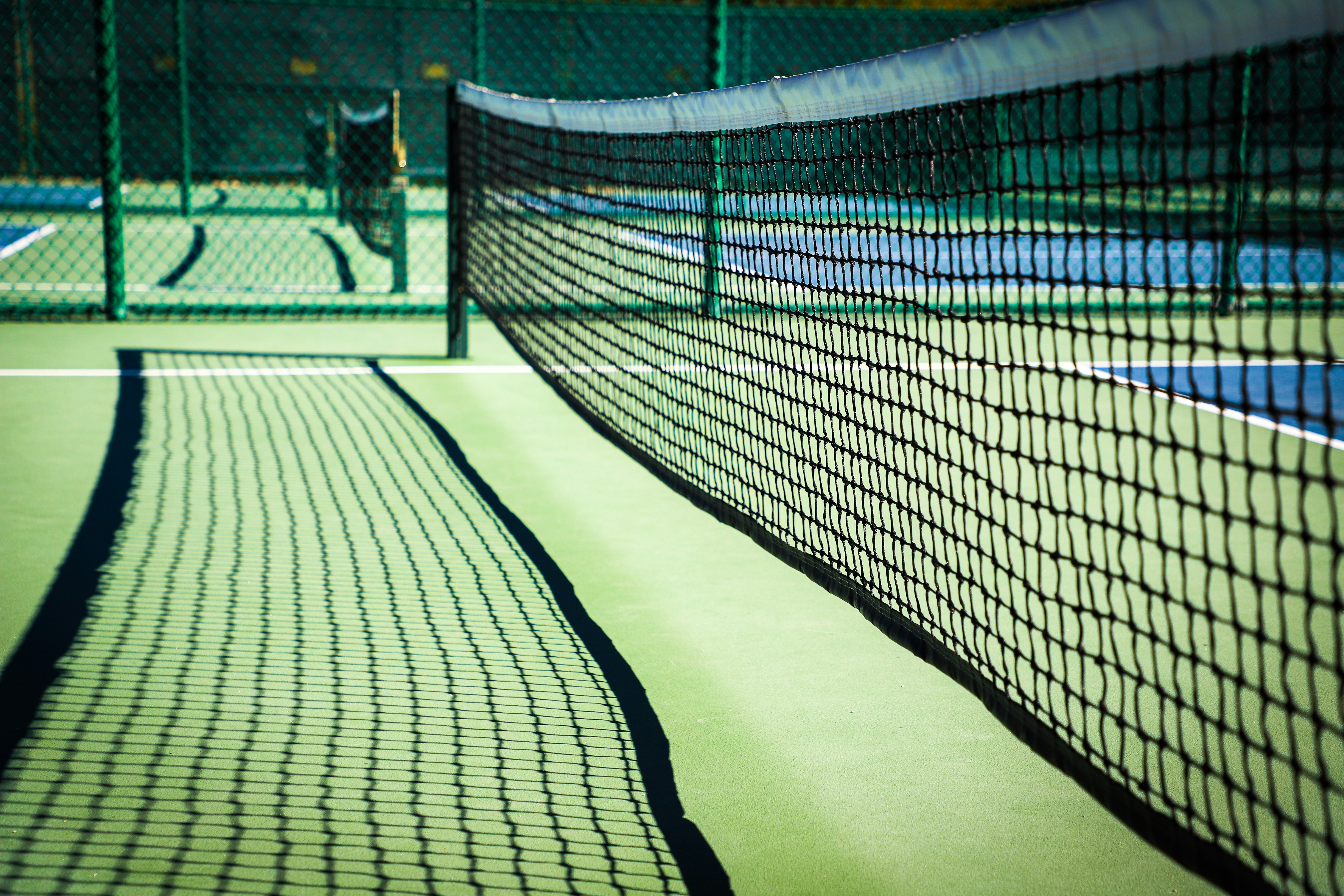 Pickleball court net